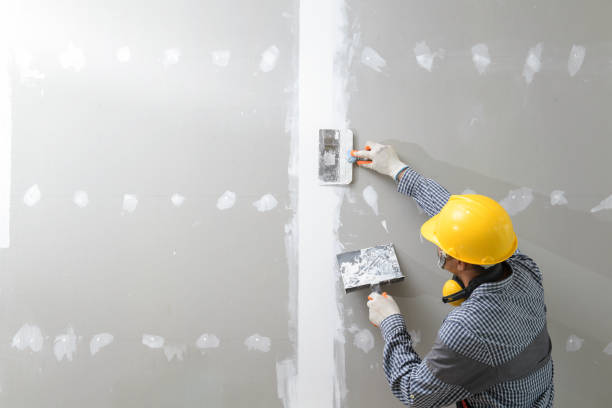 Best Water-Damaged Drywall Repair  in Northwest Harborcreek, PA